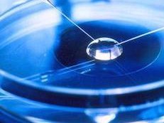 长春试管婴儿医院的成功率与运动的关系，适量运动的好处