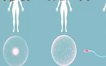 三代试管四川哪些医院可以做的好四川三代试管？