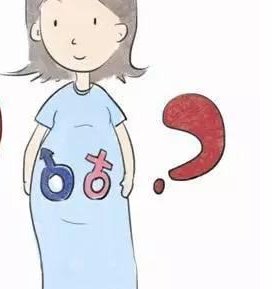 第三代试管婴儿如何选胚胎(三代试管选胚胎价格多少)