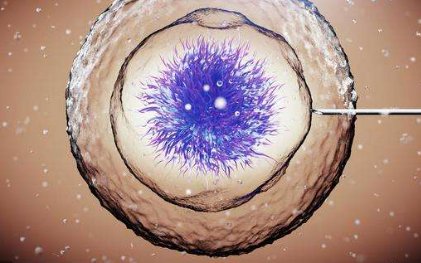 辅酶Q10助力试管婴儿，成功率提升的秘密武器？