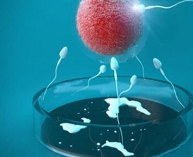 泰国第三代试管婴儿费用价格详解，16万是否足够？